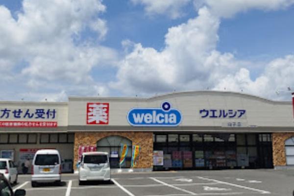 長生郡白子町中里の中古一戸建て(ウエルシア白子店)