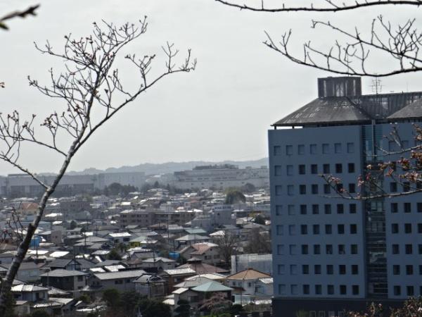 茂原市早野の中古一戸建て(茂原市役所)