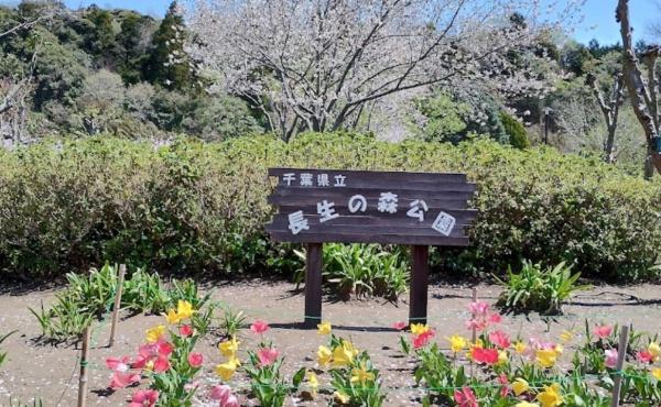 茂原市国府関の中古一戸建て(千葉県立長生の森公園)