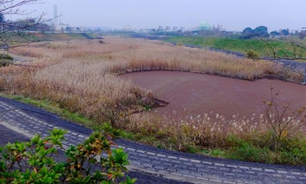 茂原市下永吉の中古一戸建て(鶴枝遊水公園)