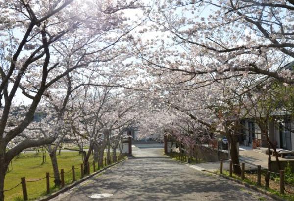 いろどりアイタウン一宮町田町一丁目・１号棟(城山公園)