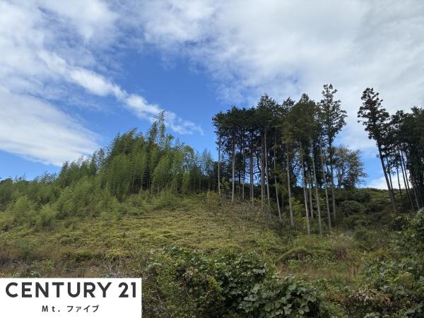 中津川市落合の土地(その他現地)