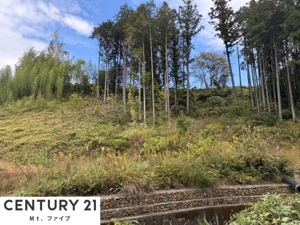 中津川市落合の土地(その他現地)