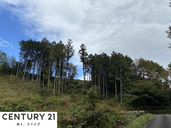 中津川市落合の土地(その他現地)