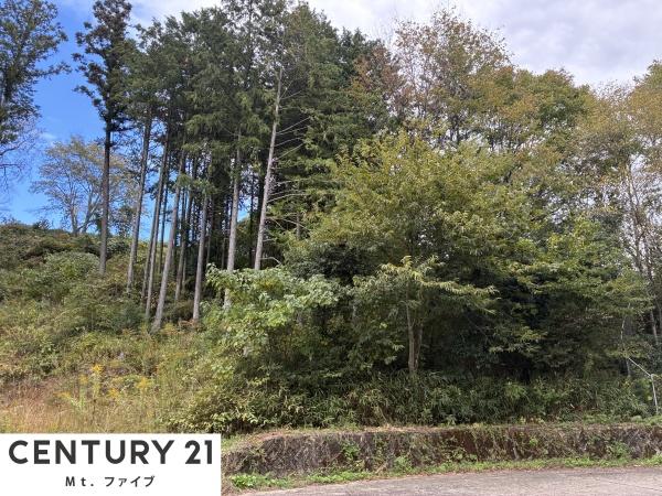 中津川市落合の土地(現地土地写真)