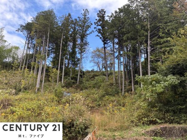 中津川市落合の土地(現地土地写真)