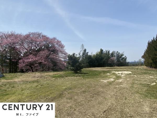 中津川市落合の土地