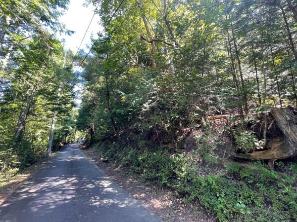 恵那市武並町藤の土地