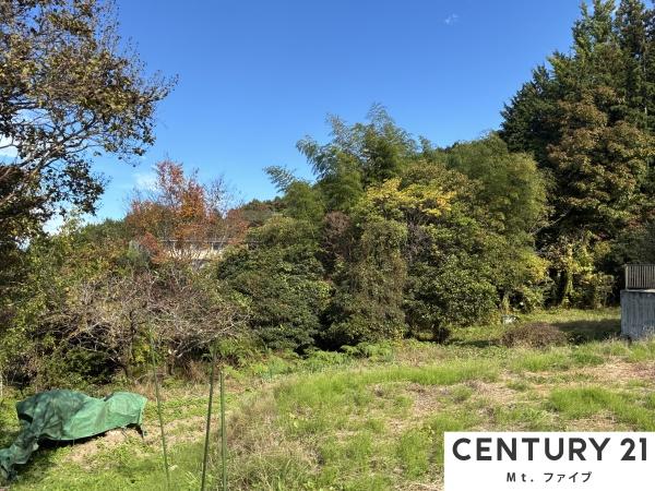 恵那市岩村町の土地