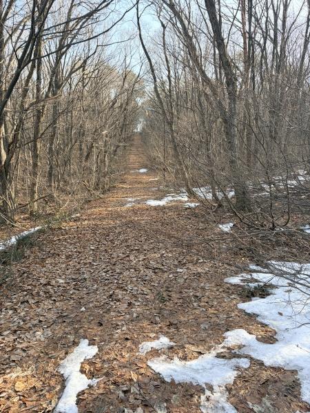 郡上市高鷲町鷲見の土地