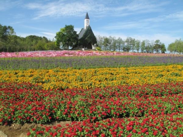 郡上市高鷲町鷲見の土地(牧歌の里)