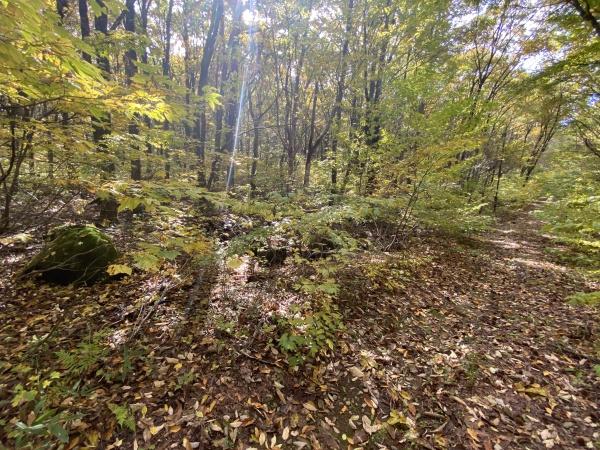 郡上市高鷲町　別荘用地