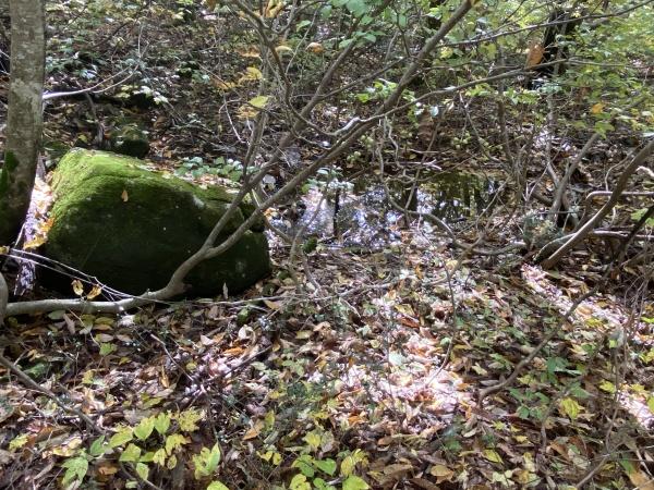 郡上市高鷲町　別荘用地