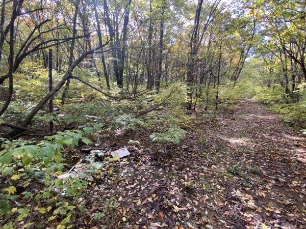 郡上市高鷲町　別荘用地