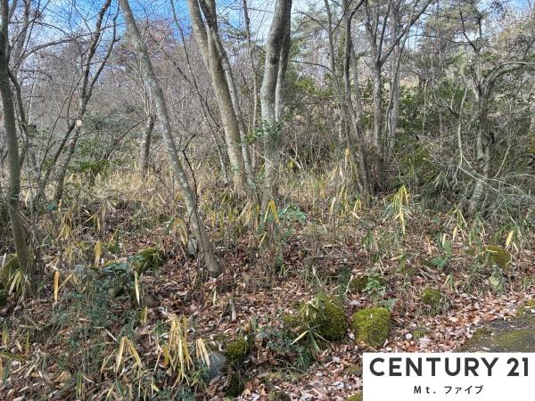 恵那市笠置町河合の土地