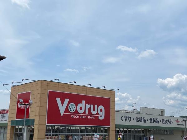 恵那市　山林付き倉庫(V・drug恵那店)