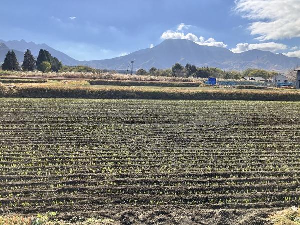 阿蘇市一の宮町宮地（宮地駅）住宅用地