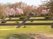 桜町店舗付き賃貸住宅(天童公園（舞鶴公園）)