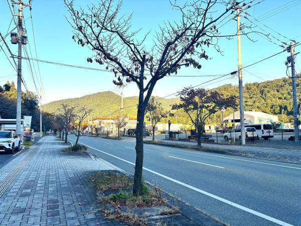 桜町店舗付き賃貸住宅