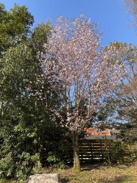 大津市北比良の中古一戸建て