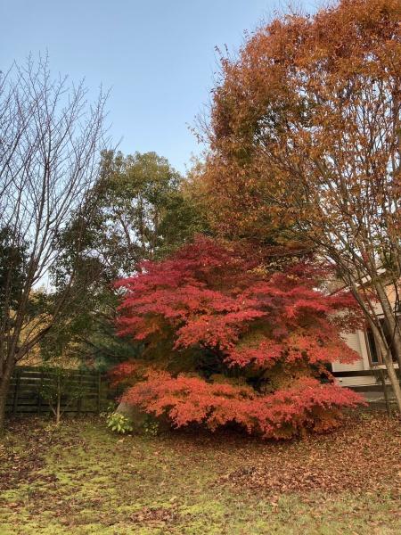 大津市北比良の中古一戸建て