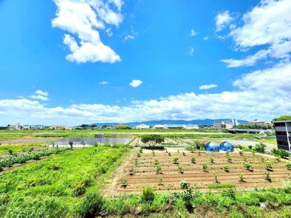 サザンパークシティ城南