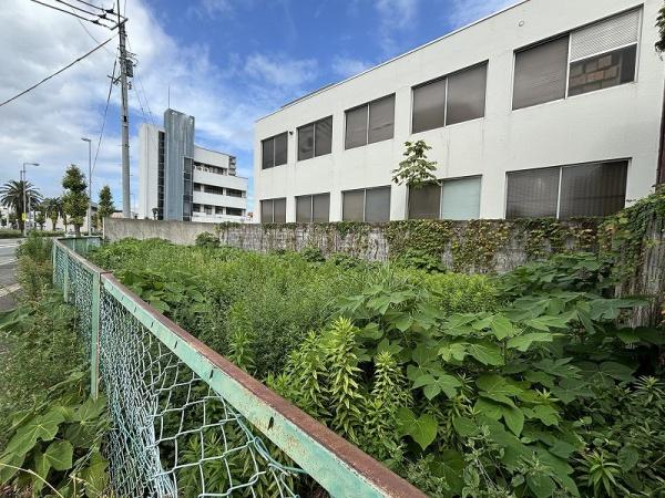 鳴門市撫養町斎田字大堤の土地