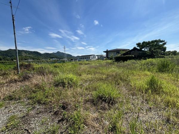 鳴門市大津町大代の土地