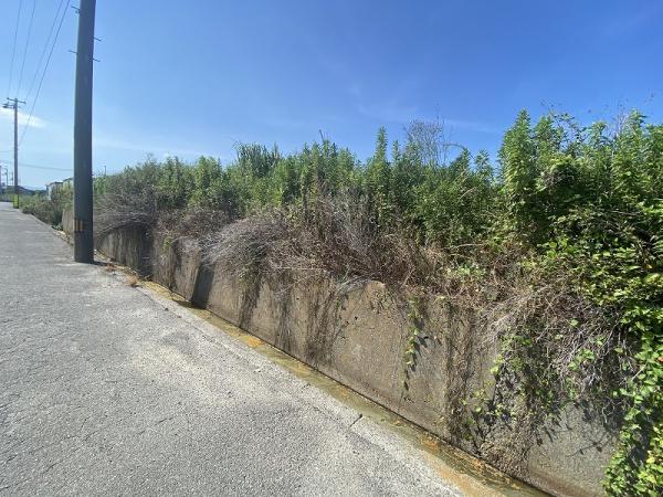 徳島市北沖洲２丁目の土地
