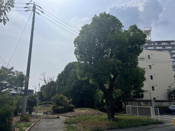 リバーサイドしろきた第４０号棟