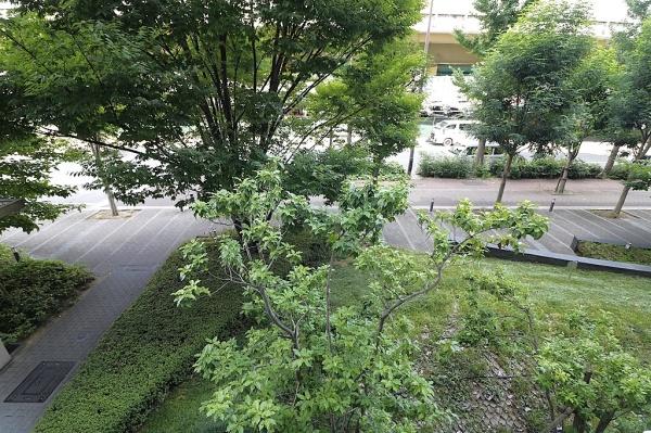 ザ・レジデンス東三国