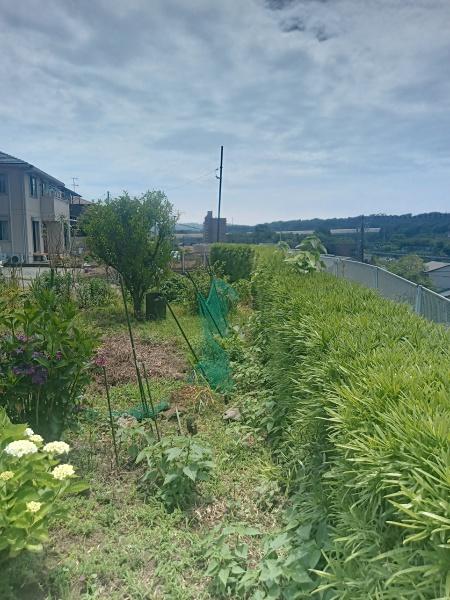 秦野市曽屋の中古一戸建て