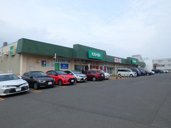 札幌市白石区川下二条4丁目の中古一戸建て(コープさっぽろ川下店)