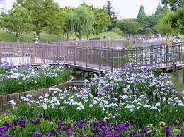 堺市東区野尻町の土地(白鷺公園)