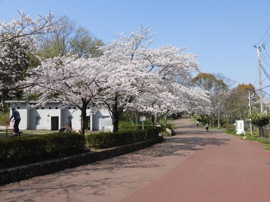 堺市中区上之の中古一戸建て(三原公園)