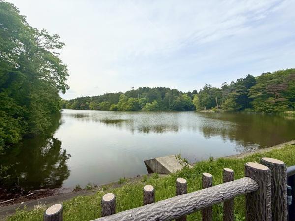仙台市宮城野区二の森の土地(与兵衛沼公園)