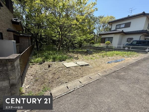 亘理郡亘理町逢隈下郡字椿山の土地