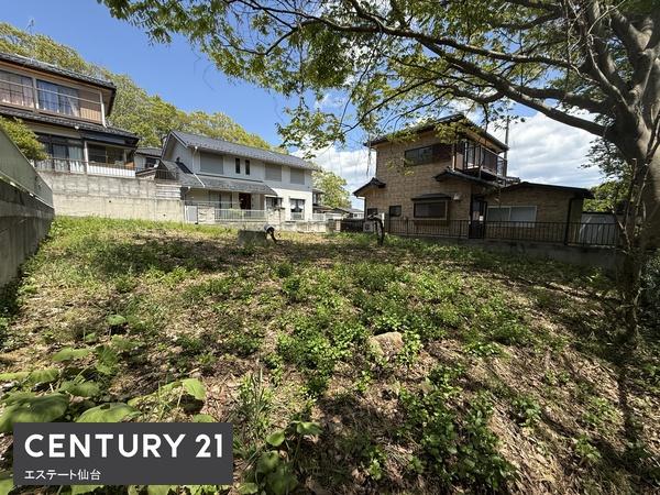 亘理郡亘理町逢隈下郡字椿山の土地