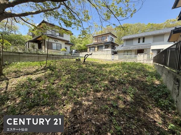 亘理郡亘理町逢隈下郡字椿山の土地