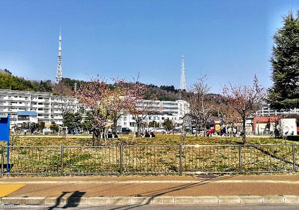 ネオハイツ鹿野(鹿野公園)