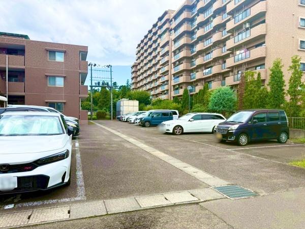 ライオンズガーデン柏木(駐車場)