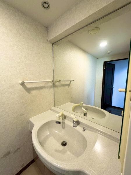 ダイアパレス八木山(洗面台・洗面所)