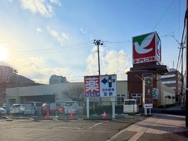 ロイヤルパレス八乙女(ヨークベニマル真美沢店)