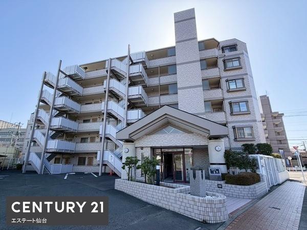 セザール富沢