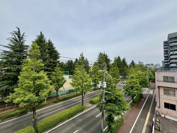 パラッシオ上杉山