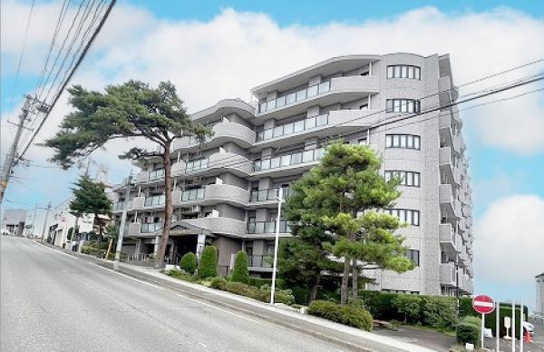 ダイアパレス八木山