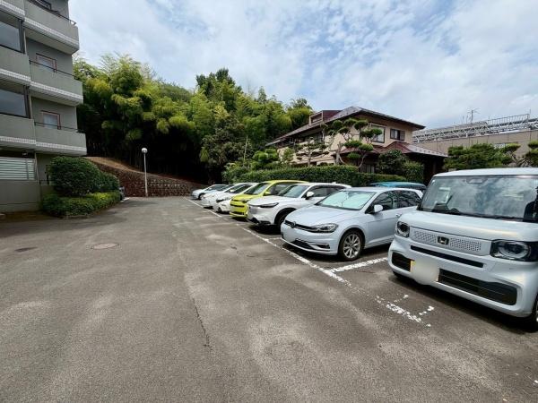 昭和マンション野草園