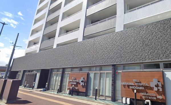 塩竈市長沢町の中古一戸建て(ウィル動物病院　塩釜病院)