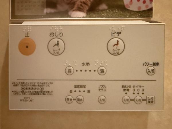 ライベストコート仙台Ｖ