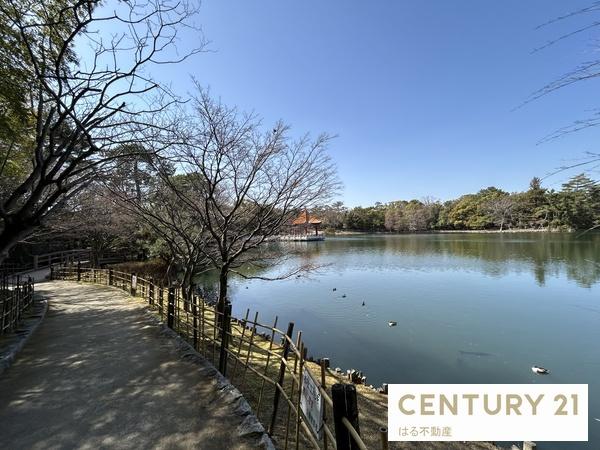 伊丹市北園1丁目の土地(緑ヶ丘公園)